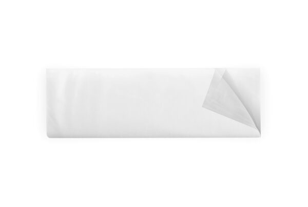 PANNI ANTISTATICI BIANCO 25X60 CF.100 pezzi